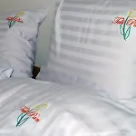 Dom Tulipan * Krynica Zdroj