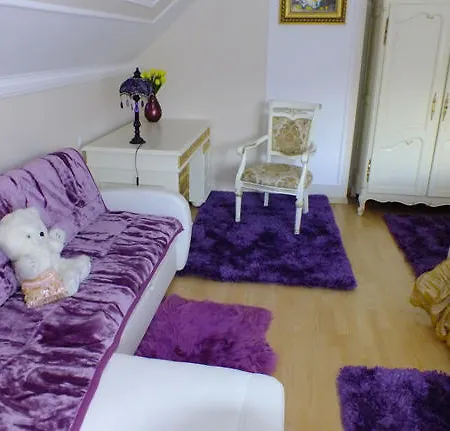 Dom Tulipan Semesterbostad Krynica-Zdrój