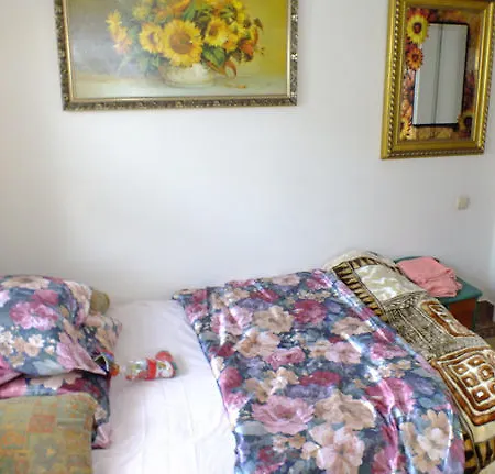 Dom Tulipan Semesterbostad