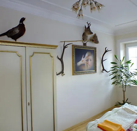 Dom Tulipan Krynica Zdroj